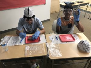 Princeton Week 5: Cutting open a brain at camp!?