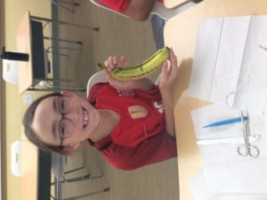 Princeton Week 6: Banana Surgery!